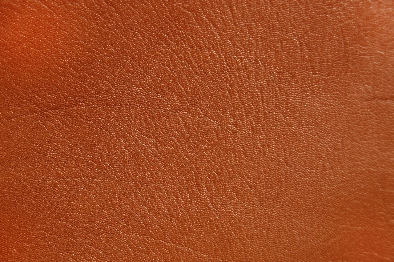 reconnaitre du cuir