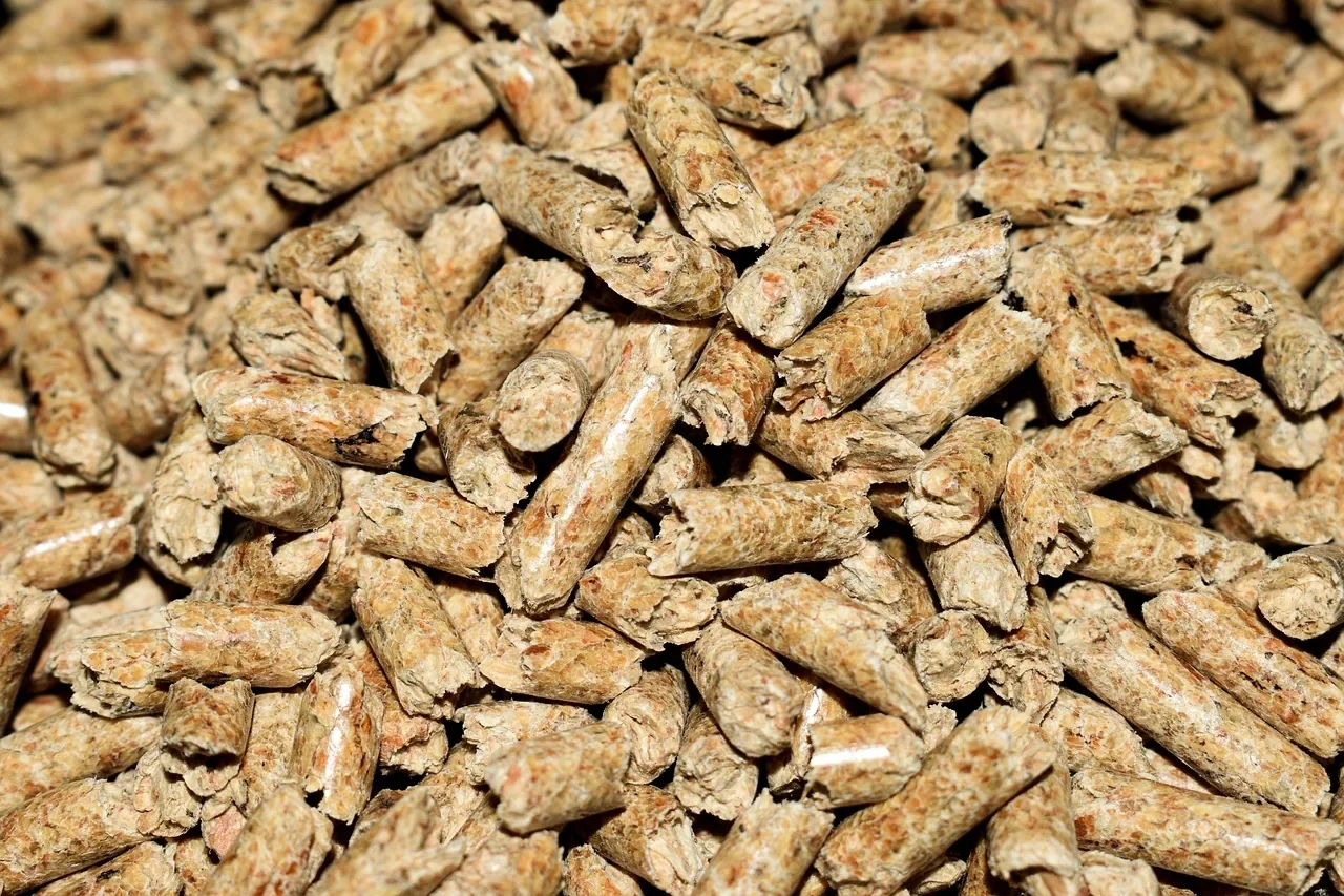 Bois pellets